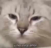 400x372