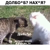 360x360