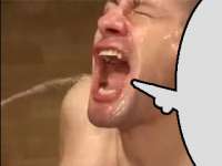 320x240