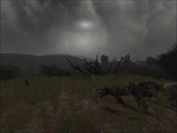 640x480