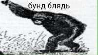 300x168