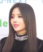 589x707