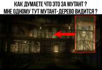 1280x882