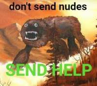 386x343