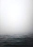 732x1024