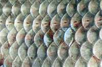 250x167