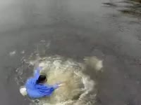 480x360