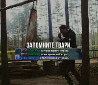 547x476