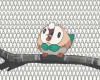 320x258