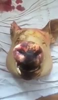 360x626