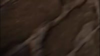 500x280