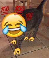 1080x1283