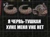 490x362
