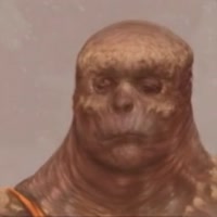320x320