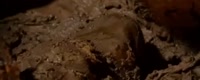 640x256