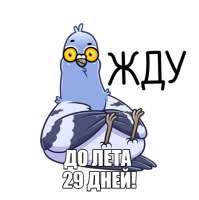 601x604