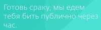 330x102