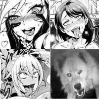 480x478