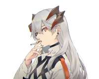 2048x1629