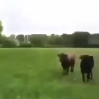 360x360