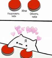 736x818