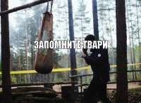 500x369