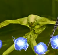 498x480