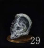 337x366