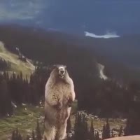 360x360