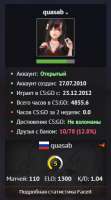 290x520
