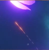 720x726
