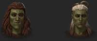 1595x692
