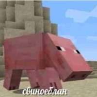 340x340