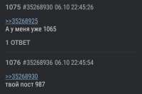 480x319