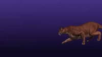 500x280
