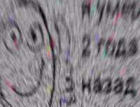 800x613