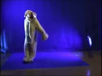 480x360