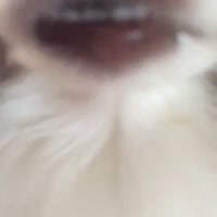 360x360