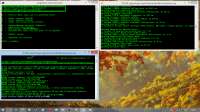 1366x768