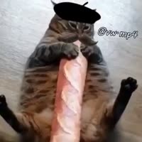 360x360