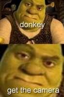 409x618