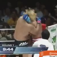 360x360