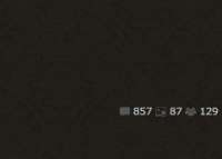 241x173