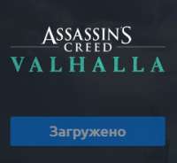 240x221