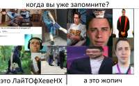 1166x728