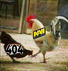 459x479