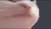 630x360