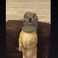 640x640