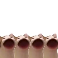 640x640