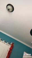 576x1024